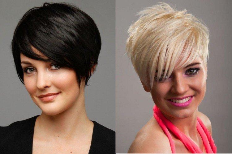 Pixie bob avec une frange latérale