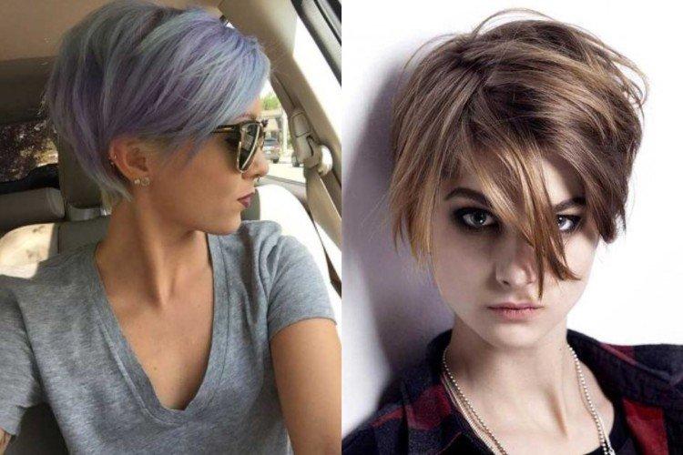 Pixie bob avec une frange en surplomb