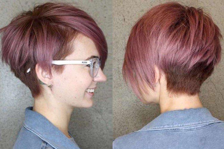 Pixie bob avec une tête rasée