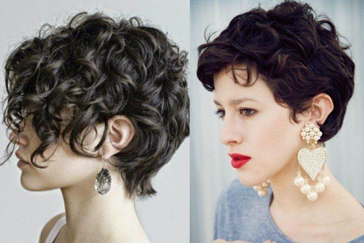 Pixie bob sur les boucles