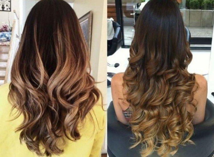 Queue de renard avec ombre