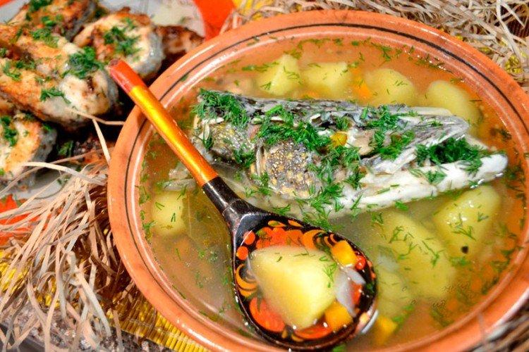 Soupe de poisson au brochet