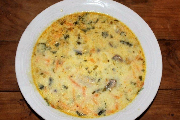 Soupe au fromage avec poisson en conserve