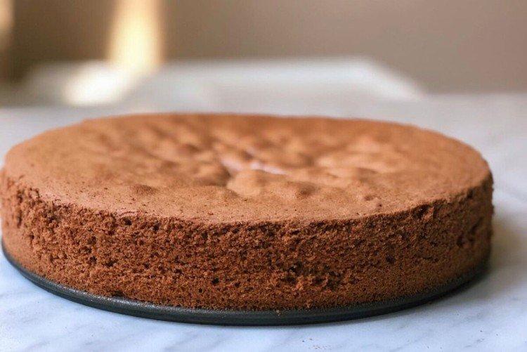 Gâteau éponge au chocolat sans oeufs