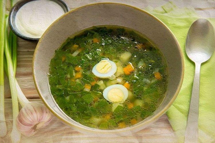 Bortsch vert à la rhubarbe et à l'oseille