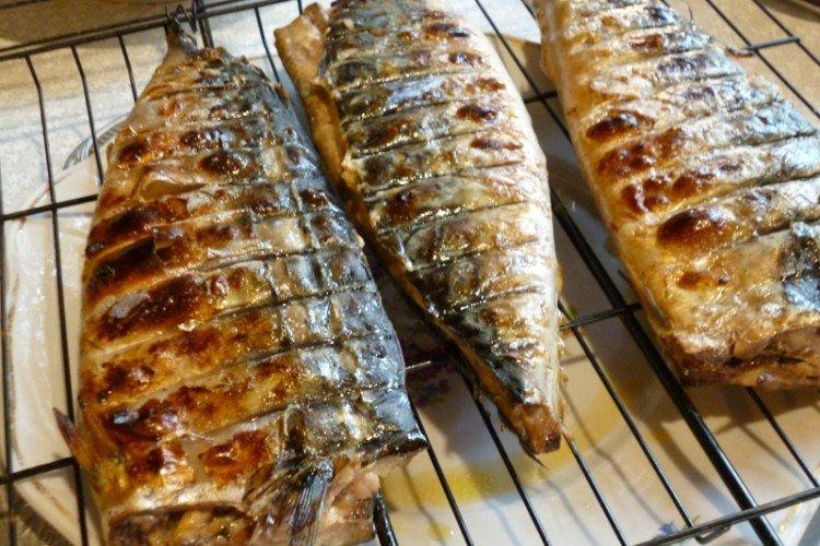 Maquereau au four en mayonnaise