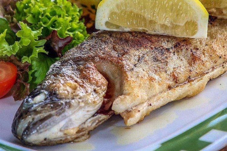 Truite dans la manche