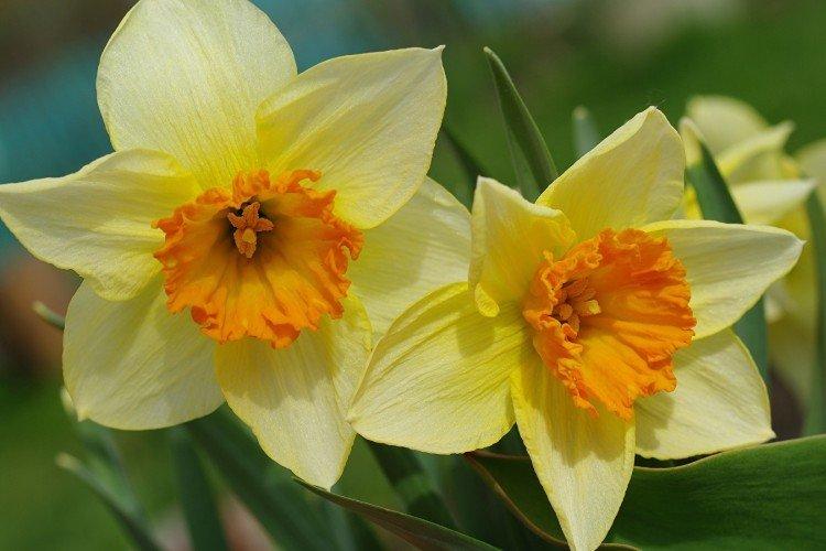 informations générales