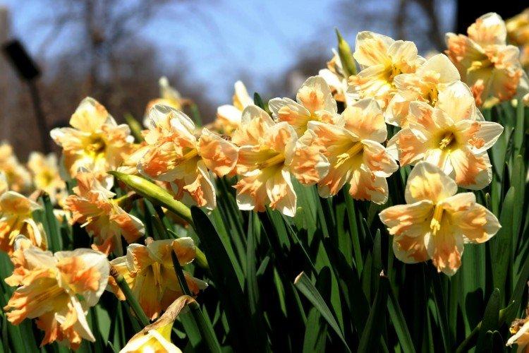 Engrais et alimentation