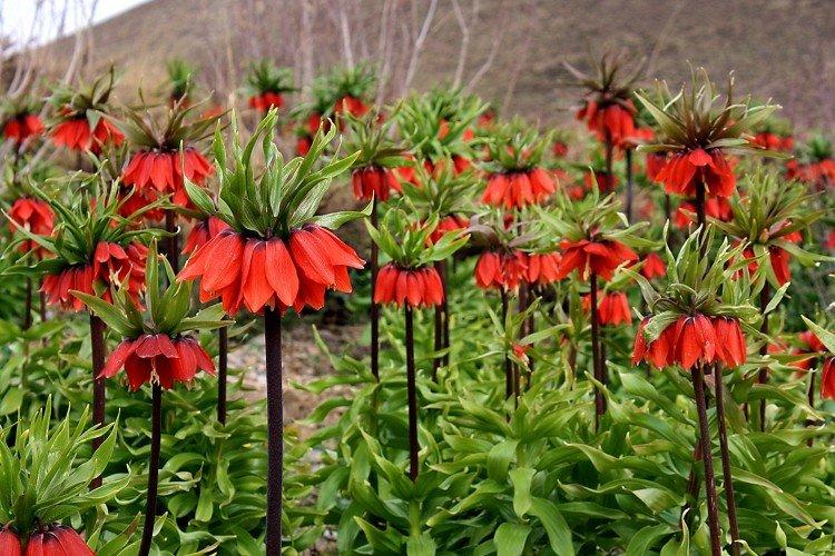 Stockage des ampoules