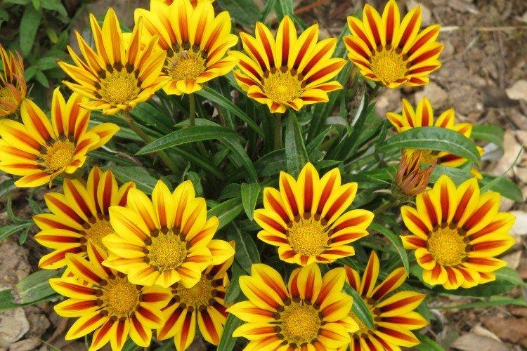 informations générales