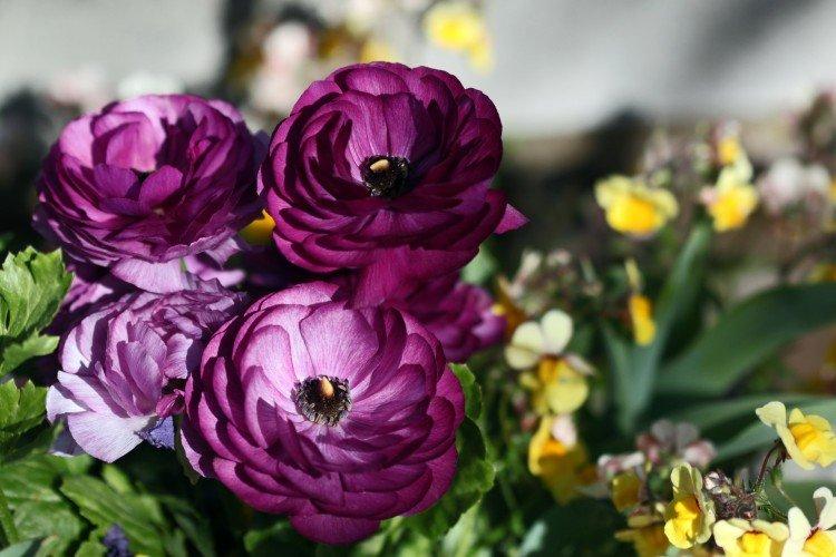 Engrais et alimentation