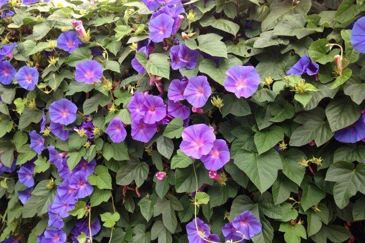 informations générales informations générales