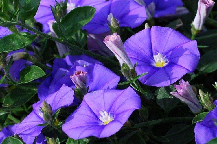 Sécurité Sécurité