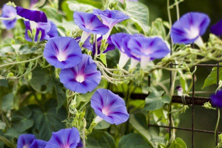 Température Température