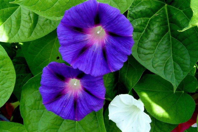 Éclairage Éclairage