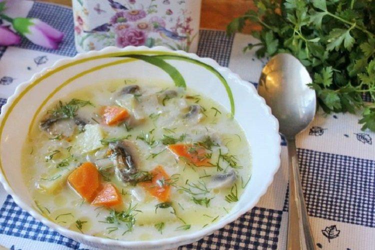 Soupe au lait aux champignons et nouilles