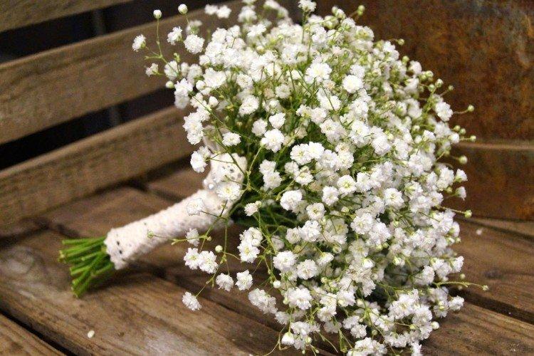 Gypsophile - photo