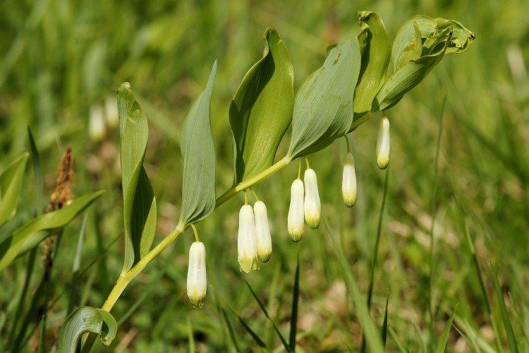 informations générales informations générales