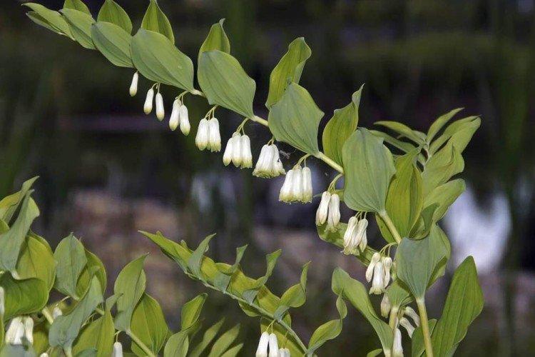 Éclairage Éclairage