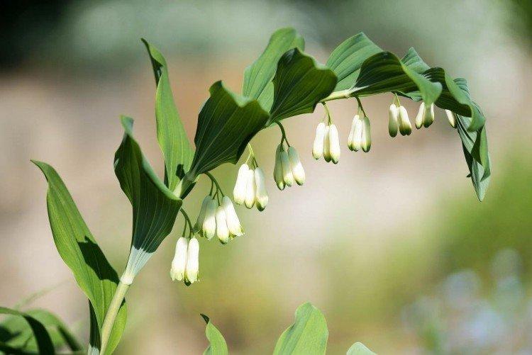 Température Température