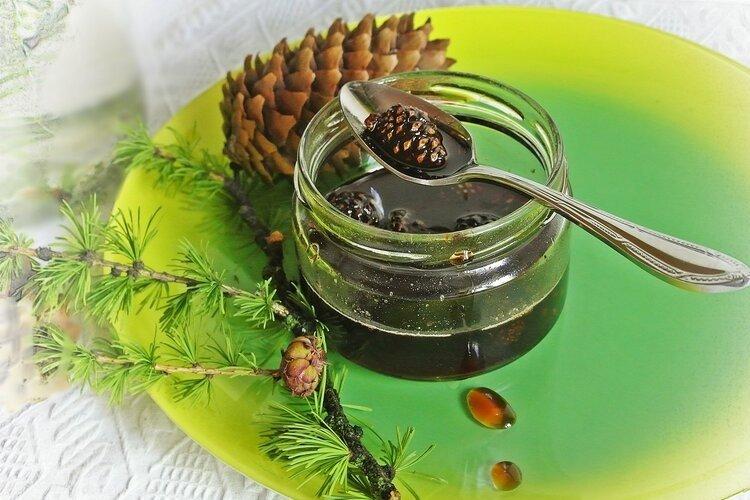 Confiture de pommes de pin à la menthe