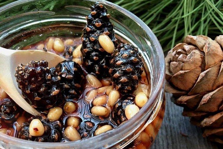 Confiture de pommes de pin aux pignons de pin