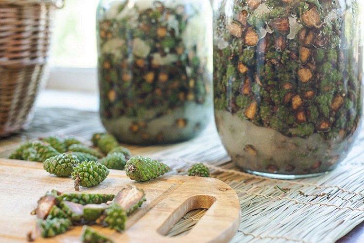 Confiture de pommes de pin sans cuisson