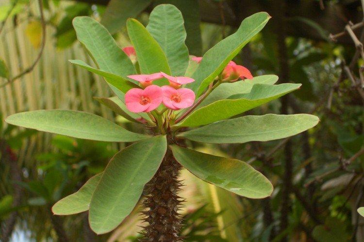 informations générales