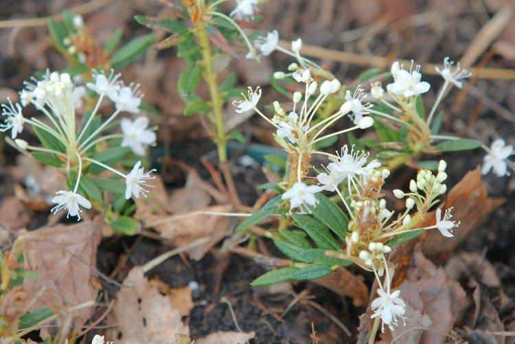 Température et éclairage