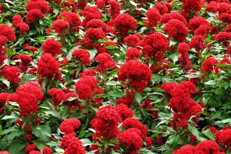 informations générales