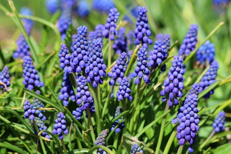 Température et éclairage