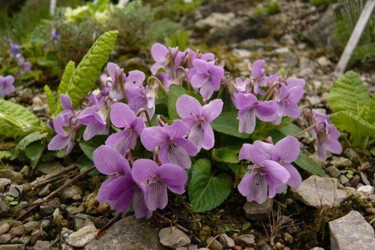 informations générales