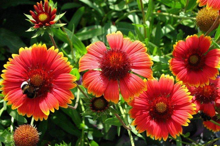 Engrais et alimentation