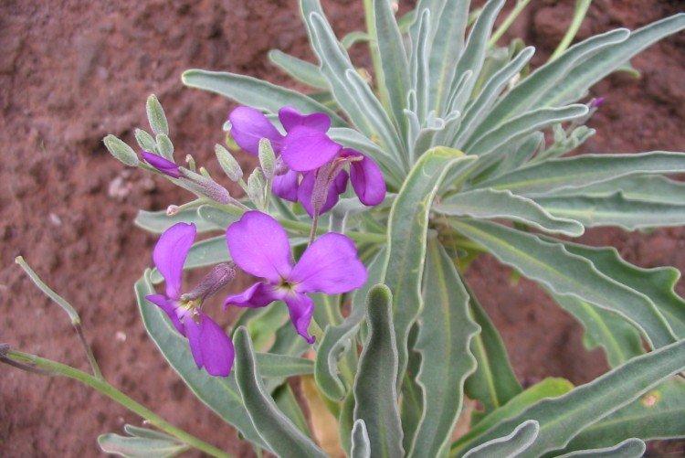 Température et éclairage