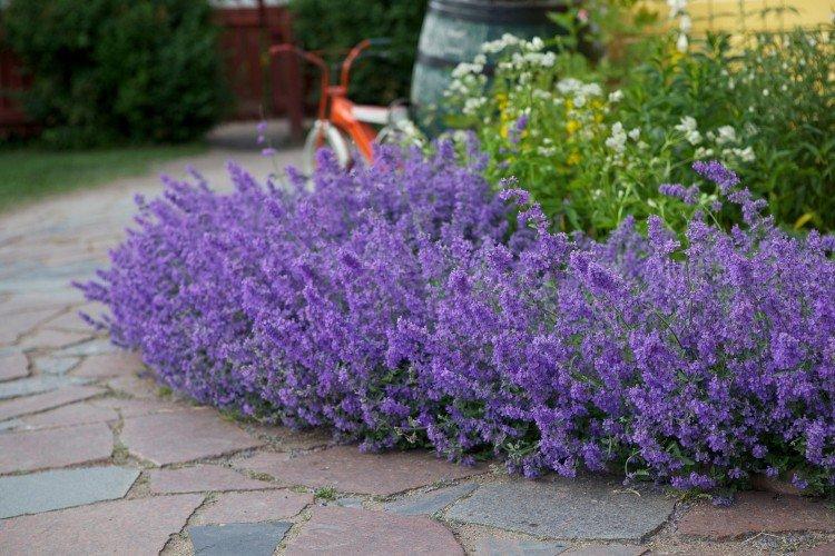 Température et éclairage