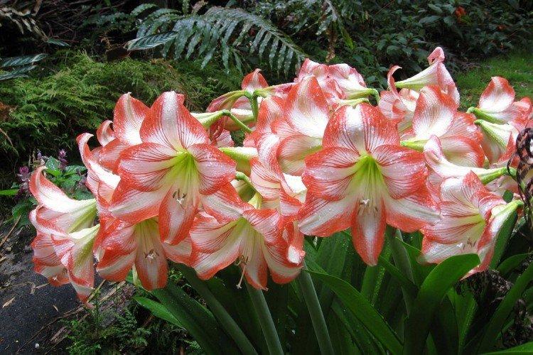 informations générales