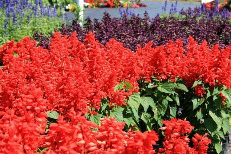 Température et éclairage