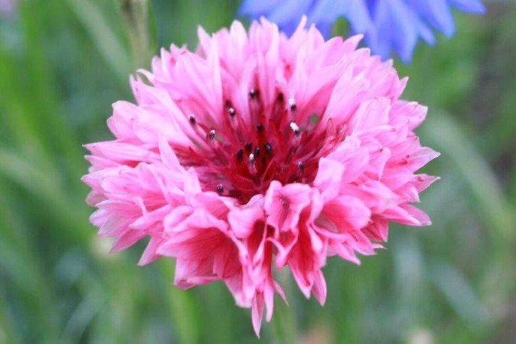 Engrais et alimentation