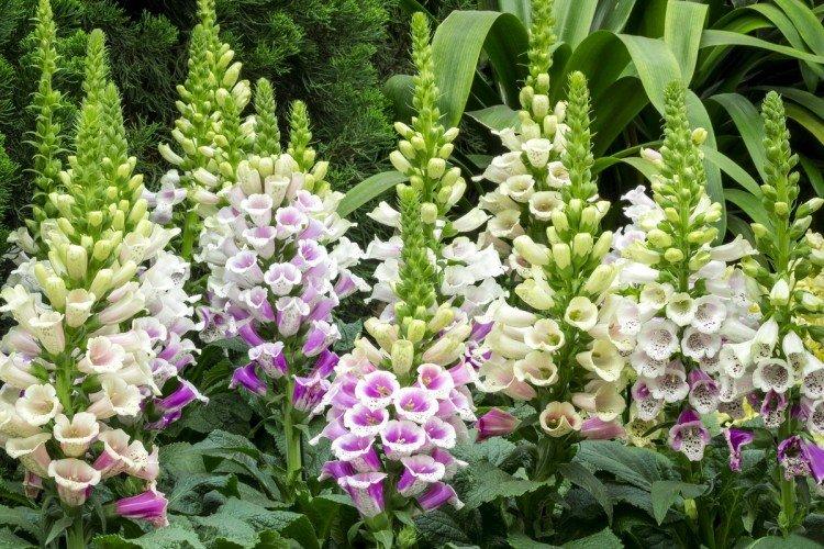 informations générales