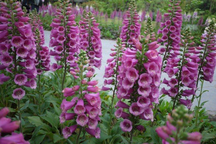 Engrais et alimentation