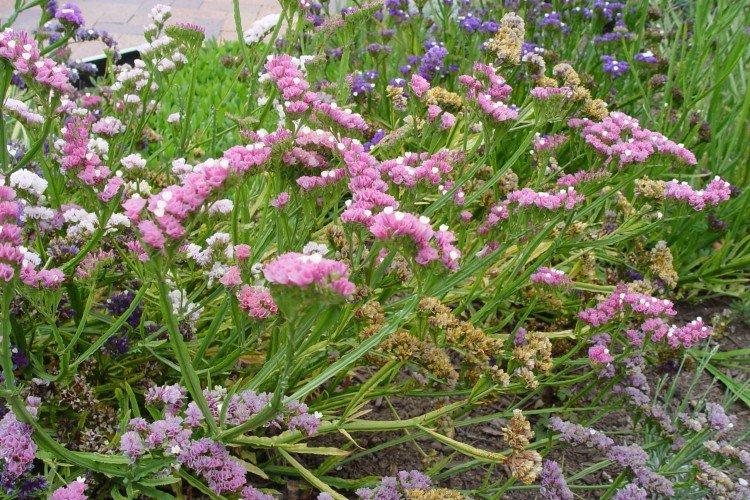 Température et éclairage