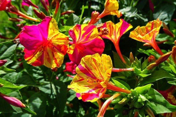 Température et éclairage