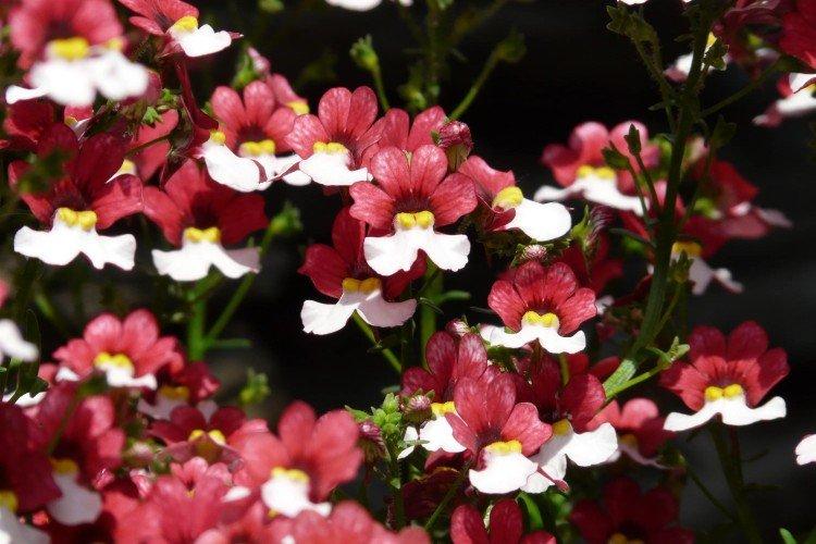 informations générales