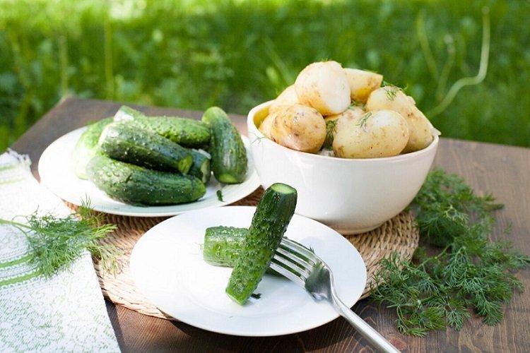 Une recette simple de concombres légèrement salés en sachet