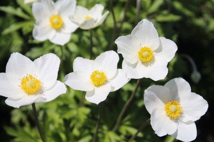 informations générales