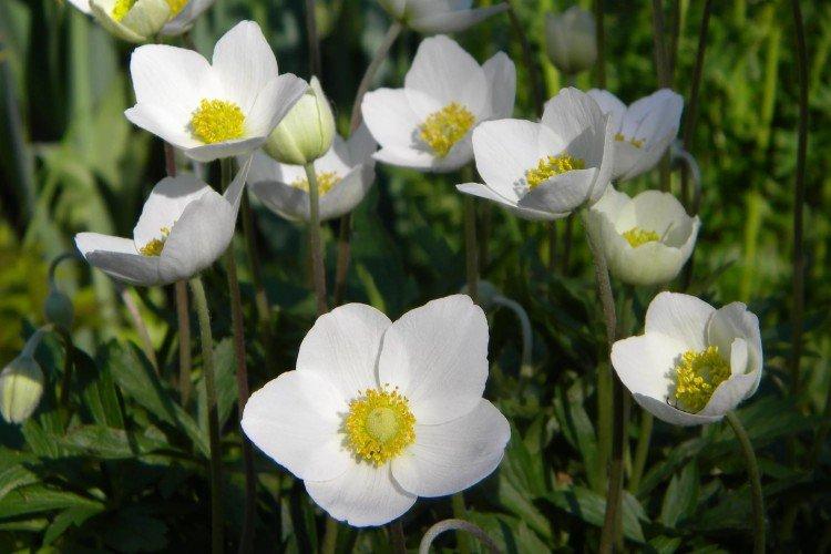 Température et éclairage