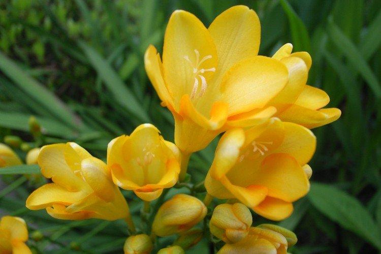 informations générales