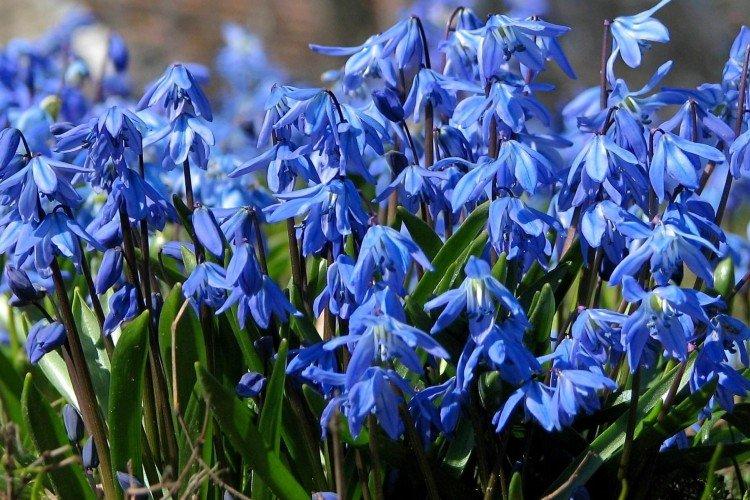 informations générales