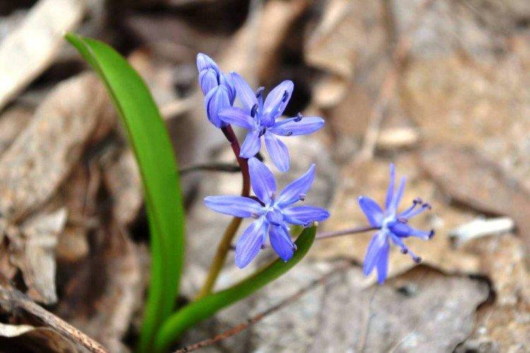 Engrais et alimentation